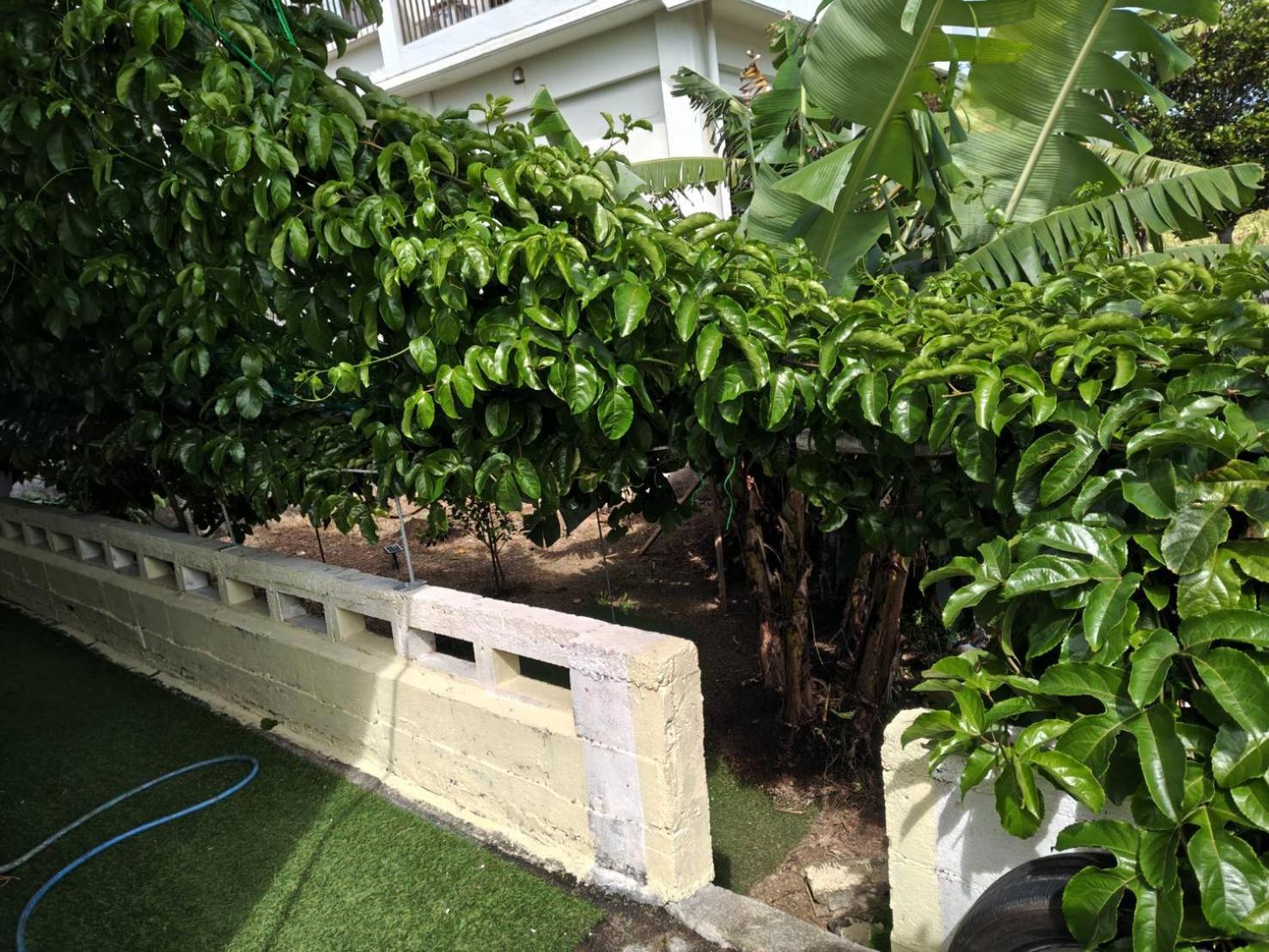 宮古島ゲストハウス　マウイ 宮古島市 エクステリア 写真